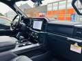 Ford F 150 5.0 V8 / LARIAT / LPG / ROLLER SHUTTER / FULL Grau - thumbnail 23