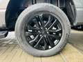 Ford F 150 5.0 V8 / LARIAT / LPG / ROLLER SHUTTER / FULL Grau - thumbnail 25
