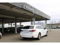 Mazda 6 SKY-G SOMO 20th Anniversary+NAPPA+8FACH !! Bianco - thumbnail 5