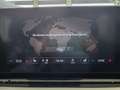 Skoda Octavia Ambition Grau - thumbnail 15