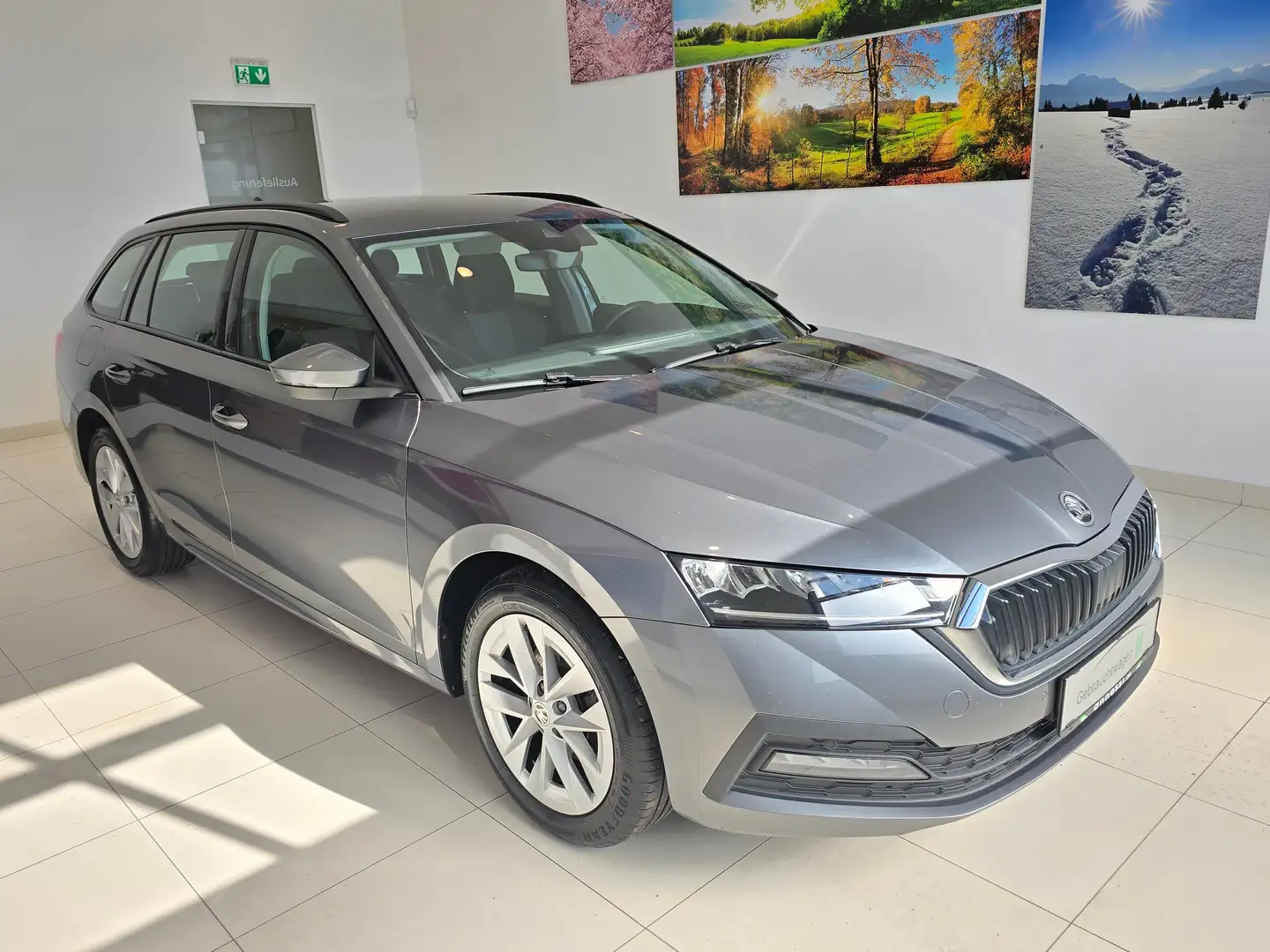 Skoda Octavia Ambition Grau - 1