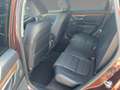 Honda CR-V T 1.5 Turbo VTEC Executive Lederpolster Braun - thumbnail 9