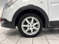 Dacia Dokker 1.2 TCe Stepway|PDC|AHK|Alu|USB| Weiß - thumbnail 19