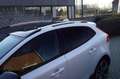 Volvo V40 Cross Country 1.5 T3 Polar+ Luxury Autom Leder Stoelverw Panodak Weiß - thumbnail 32