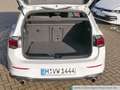 Volkswagen Golf GTI Golf VIII 2.0 TSI DSG GTI Navi LED ACC DigCockpi Weiß - thumbnail 14