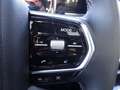 Foton 4 Ultra 2.0 MHEV Diffsperre CarPlay 360° Leder Schwarz - thumbnail 29