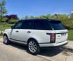 Land Rover Range Rover 4.4SDV8 Vogue Aut. Blanco - thumbnail 5