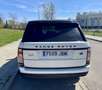 Land Rover Range Rover 4.4SDV8 Vogue Aut. Blanco - thumbnail 22