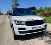 Land Rover Range Rover 4.4SDV8 Vogue Aut. Blanco - thumbnail 24
