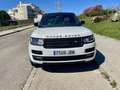 Land Rover Range Rover 4.4SDV8 Vogue Aut. Blanco - thumbnail 20