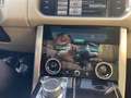 Land Rover Range Rover 4.4SDV8 Vogue Aut. Blanco - thumbnail 6