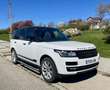 Land Rover Range Rover 4.4SDV8 Vogue Aut. Blanco - thumbnail 12