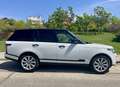 Land Rover Range Rover 4.4SDV8 Vogue Aut. Blanco - thumbnail 25