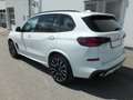 BMW X5 xDrive40d Weiß - thumbnail 15
