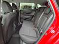 Hyundai i20 (BC3) GO Plus 1.2 MPI *Comfort-Paket* Rot - thumbnail 14