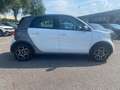 smart forFour forfour 70 1.0 Prime Bianco - thumbnail 10