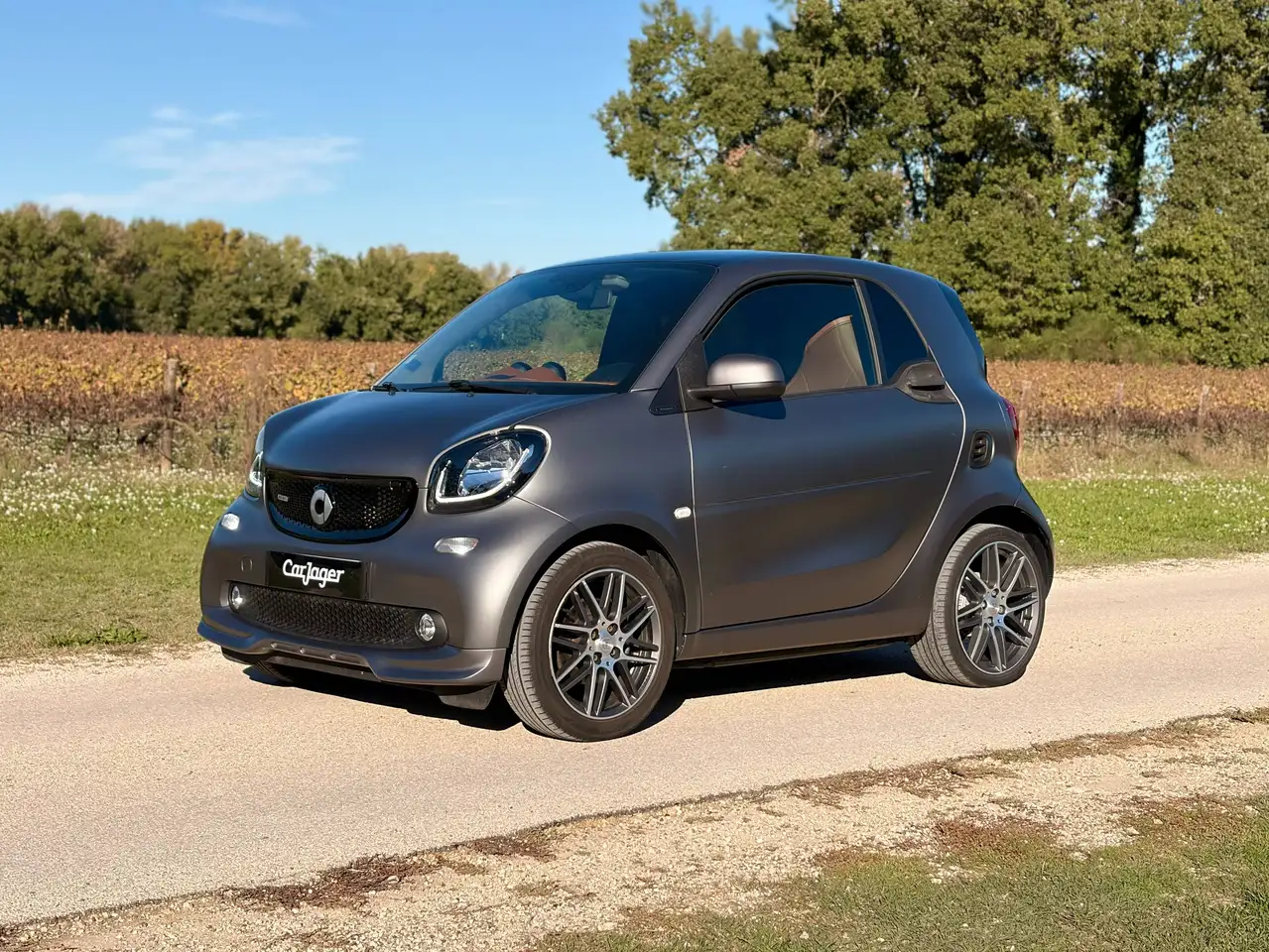 smart forTwo