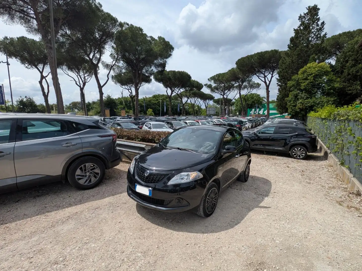 Lancia Ypsilon HYBRID SILVER PLUS 1.0cc 70cv Noir - 1
