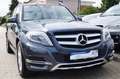 Mercedes-Benz GLK 250 CDI BlueTec 4Matic 7G-Tronic Sportpaket Gris - thumbnail 3