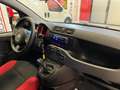 Fiat Panda 1.2 Van  2 posti Euro 6D-Temp 69cv Rouge - thumbnail 14