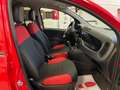 Fiat Panda 1.2 Van  2 posti Euro 6D-Temp 69cv Rouge - thumbnail 12