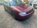 Audi A3 1.6 Ambition Red - thumbnail 9