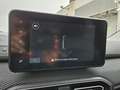 Dacia Jogger EXPRESSION 1.0 TCE 110CV 7 PLAZAS Verde - thumbnail 10