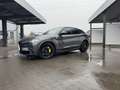 Alfa Romeo Stelvio V6 2.9 Bi-Turbo AT8-Q4 Quadrifoglio Grau - thumbnail 12