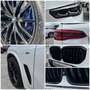 BMW X5 xDrive40d M Sport Anhängerk. Standhzg. ParkingAssi Bílá - thumbnail 15