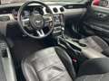 Ford Mustang Convertible 2.3 automaat, 315 PK, zeer mooie staat Roşu - thumbnail 12