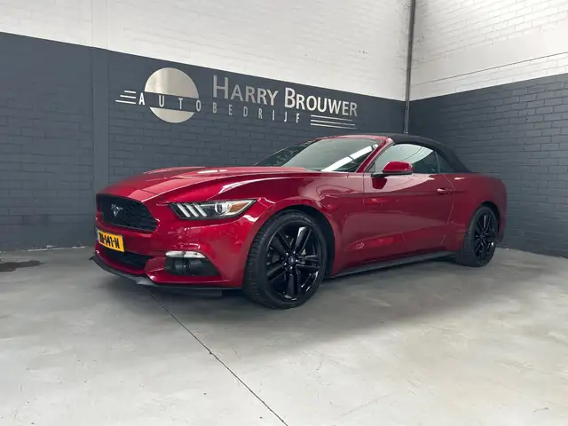 Ford Mustang Convertible 2.3 automaat, 315 PK, zeer mooie staat