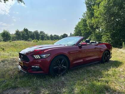 Ford Mustang Convertible 2.3 automaat, 315 PK, zeer mooie staat