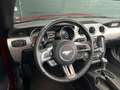 Ford Mustang Convertible 2.3 automaat, 315 PK, zeer mooie staat Roşu - thumbnail 24
