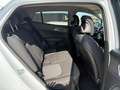 Kia Sportage 1.6 TGDi HEV AT Style PROMO SENZA PENSIERI CON VFG Weiß - thumbnail 13