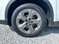 Suzuki Vitara 1.6 ddis V-Cool s&s 2wd Blanc - thumbnail 21