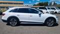 Audi A4 allroad quattro 40 TDI Pano 360* AHK Leder Weiß - thumbnail 8