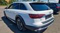 Audi A4 allroad quattro 40 TDI Pano 360* AHK Leder Weiß - thumbnail 5