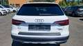 Audi A4 allroad quattro 40 TDI Pano 360* AHK Leder Weiß - thumbnail 6