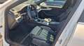 Audi A4 allroad quattro 40 TDI Pano 360* AHK Leder Weiß - thumbnail 11