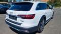 Audi A4 allroad quattro 40 TDI Pano 360* AHK Leder Weiß - thumbnail 7