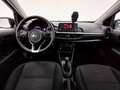 Kia Picanto 1.0 12V GPL 5 porte Urban Grigio - thumbnail 4