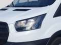 Ford Transit Kasten 2,0 EcoBlue L2H2 310 Trend Weiß - thumbnail 7
