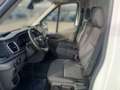 Ford Transit Kasten 2,0 EcoBlue L2H2 310 Trend Weiß - thumbnail 10