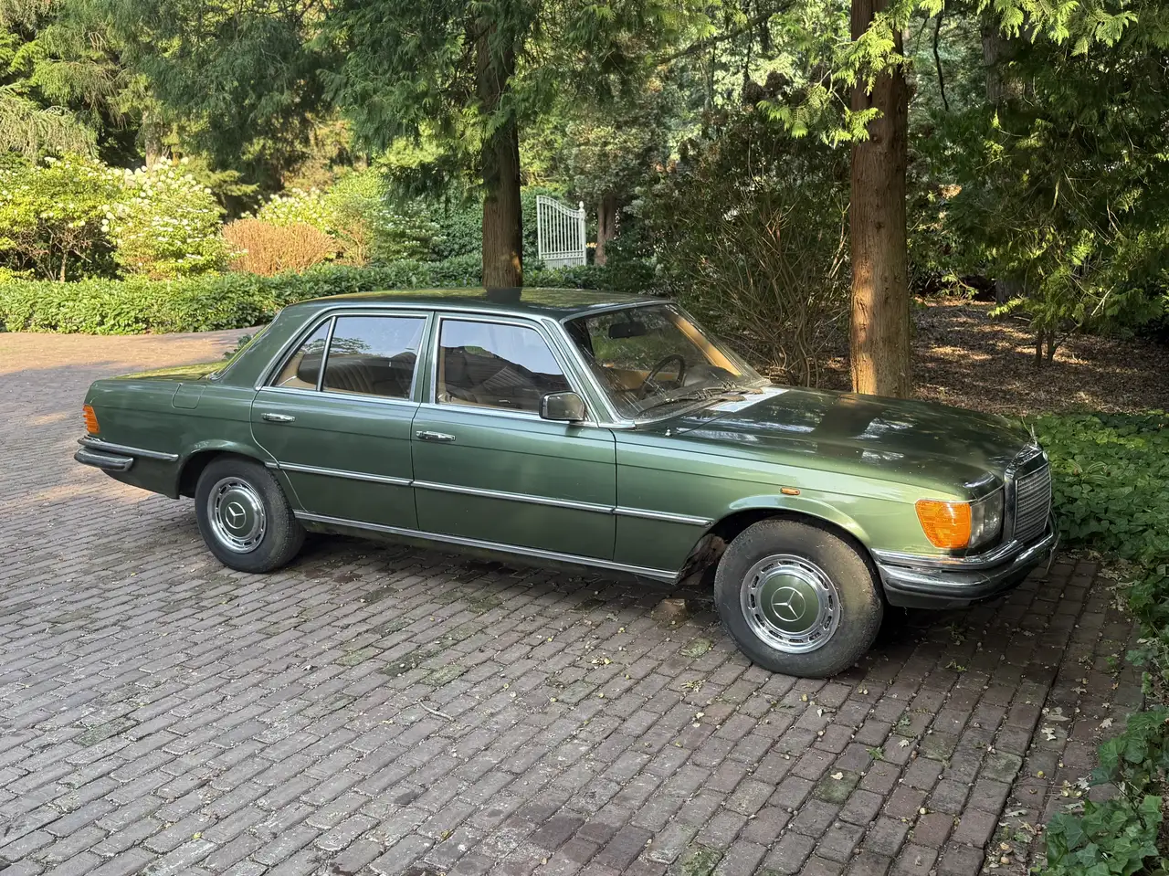 Mercedes-Benz S 280 SE Project, foto 3