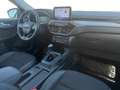 Ford Kuga 2,0 EcoBlue Hybrid Titanium X Blau - thumbnail 15