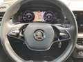 Skoda Kamiq Clever AHK schwenkb. - Allwetterreifen Negro - thumbnail 9