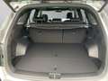Kia Sorento PE PLATINUM 4WD 2.2 CRDi *ANHÄNGERKUPPLUNG*PREMIUM Grau - thumbnail 9