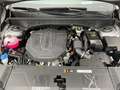 Kia Sorento PE PLATINUM 4WD 2.2 CRDi *ANHÄNGERKUPPLUNG*PREMIUM Grau - thumbnail 10