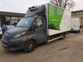 Iveco Daily Kühlkoffer Ladebordwand Bär CNG Navi Top Gris - thumbnail 2