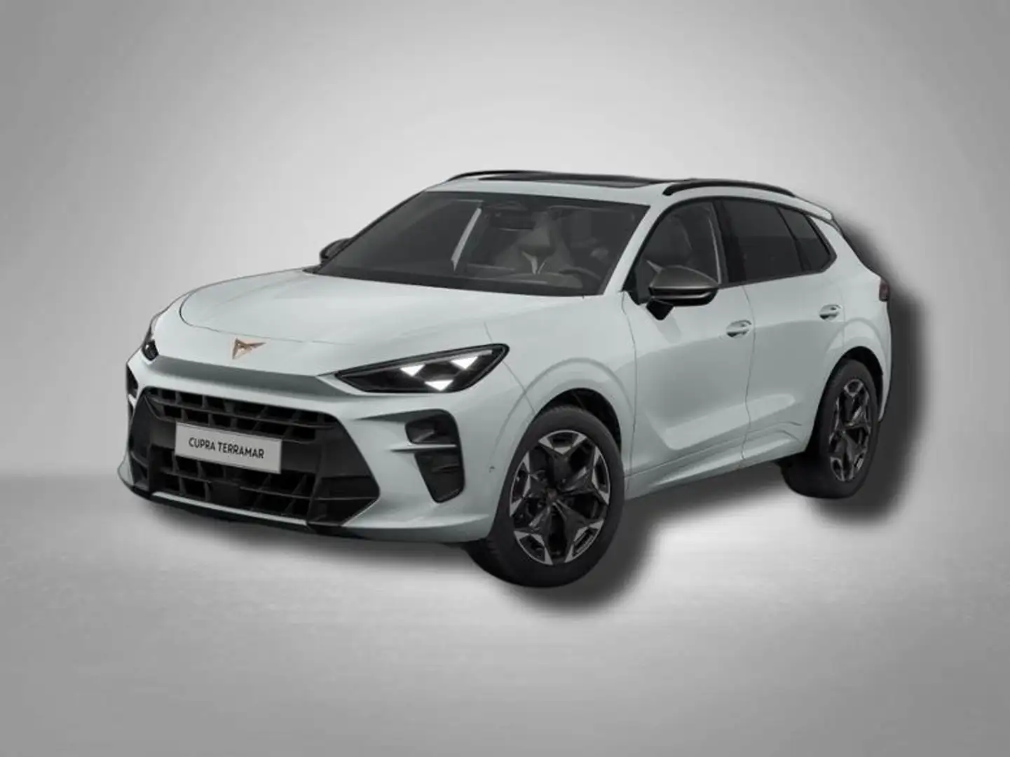 CUPRA Terramar VZ 2.0 TSI 195 kW (265 PS) 7-Gang DSG 4Drive 19... Weiß - 1